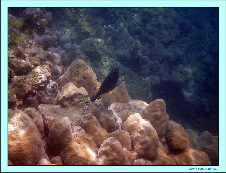 2011 - 03 - Koh Kradan 041